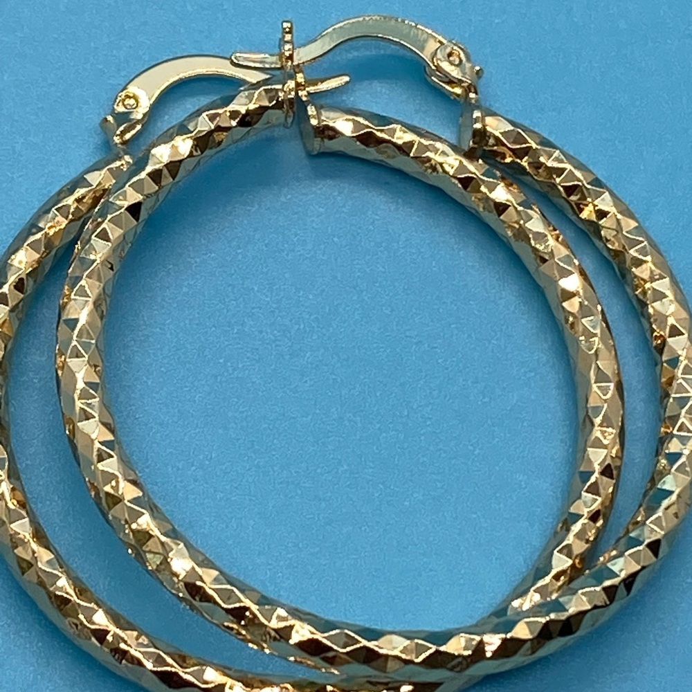 Elegant Gold Hoop Earrings